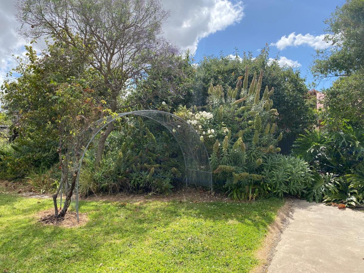 Вилла Para House, Tanunda. In The Heart Of The Barossa Valley!. Экстерьер фото